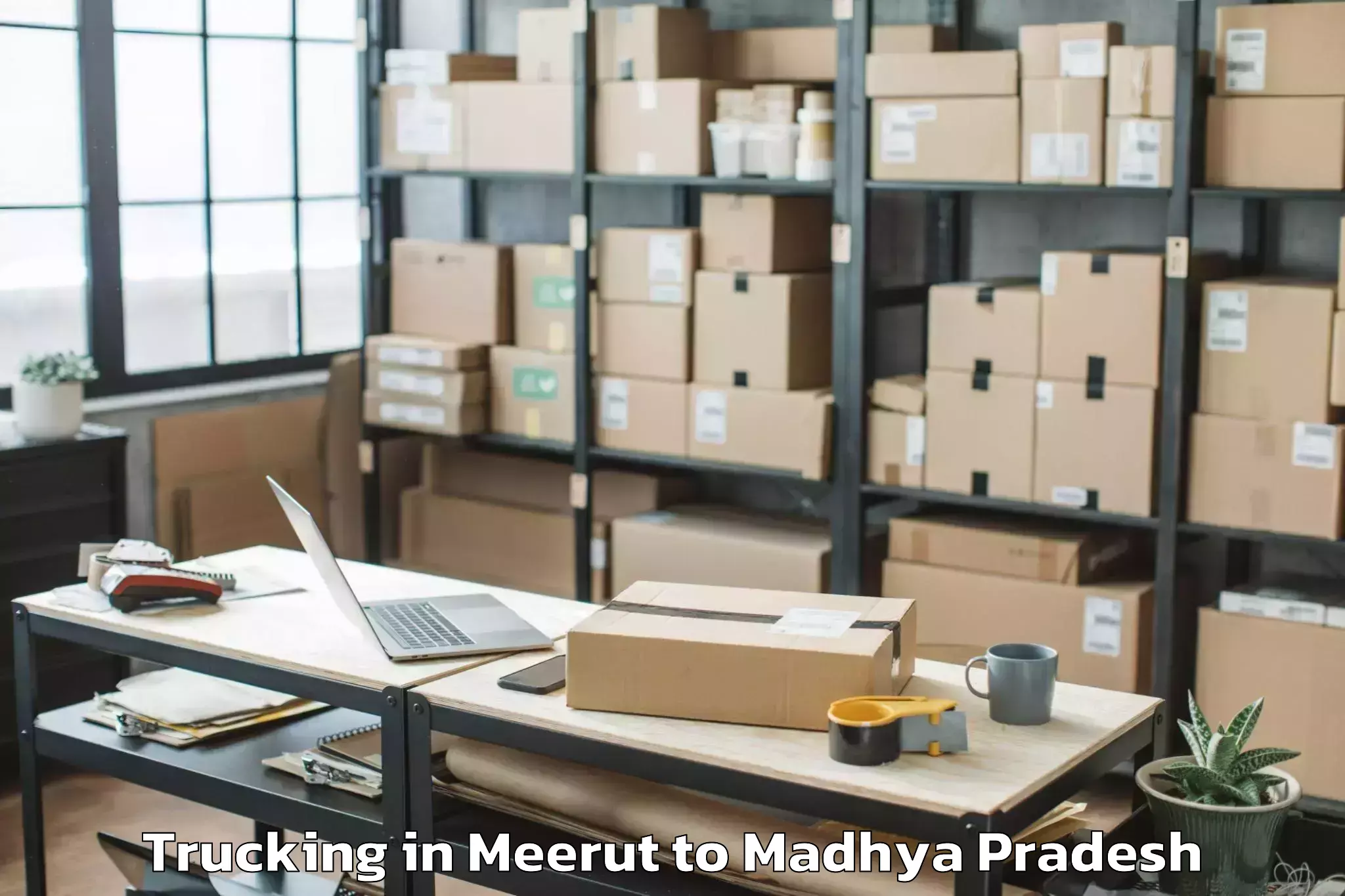 Leading Meerut to Orchha Trucking Provider